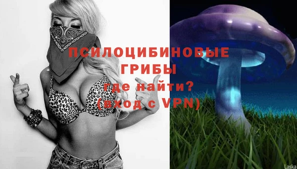 марки lsd Абаза